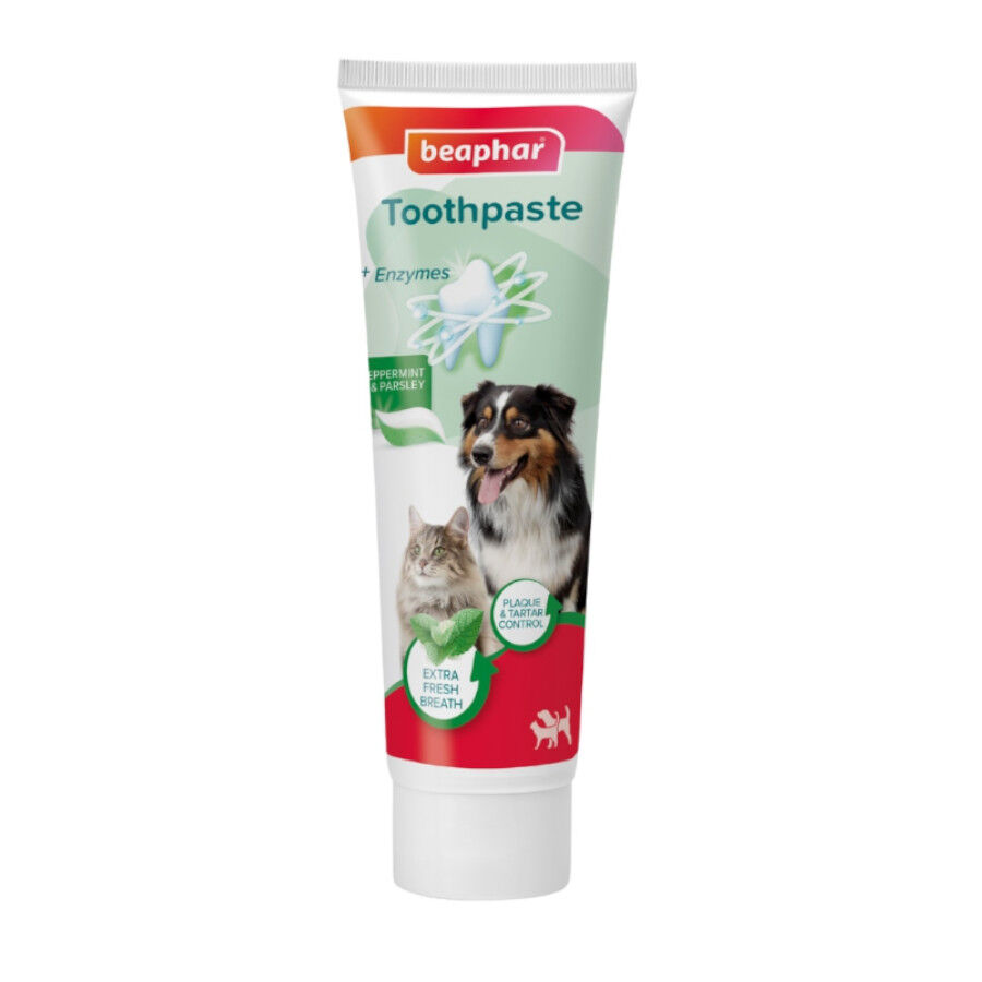Beaphar Pasta Dental  Menta  Perejil para Perros y Gatos