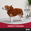 Gotoo Abrigo Teddy Marr&oacute;n para perros, , large indicador imagen numero 6