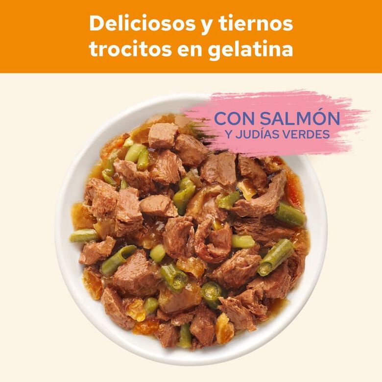 Cat Chow Salmón en Gelatina thumbnail