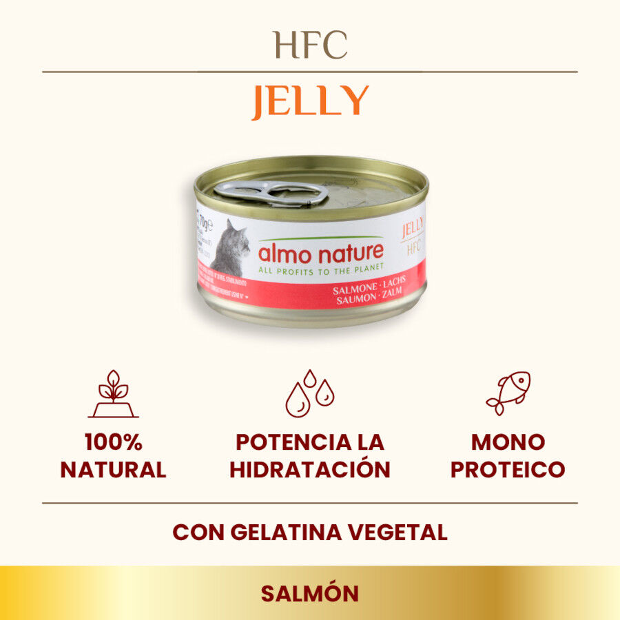 Almo Nature HFC Jelly Salmón en gelatina lata para gatos thumbnail