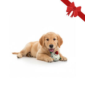 Wonder Christmas Pelota Navideña para perros,  Wonder Christmas Pelota Navideña para perros