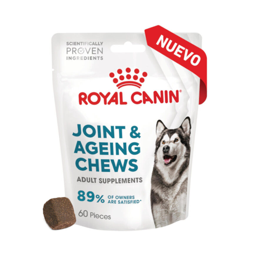 Royal Canin Joint &amp; Ageing Chews Suplemento Nutricional para perros con sensibilidad articular thumbnail