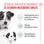 4 kg Royal Canin Starter MotheryBaby Mini pienso para perros, , large indicador imagen numero 3