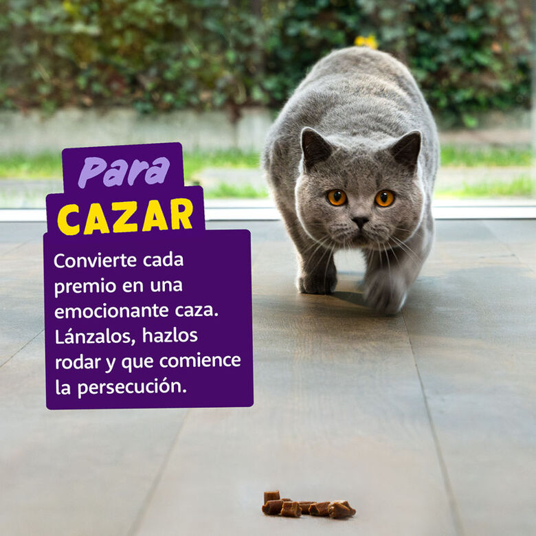 Edgard &amp; Cooper Rollitos Pollo y Pavo para gatos thumbnail