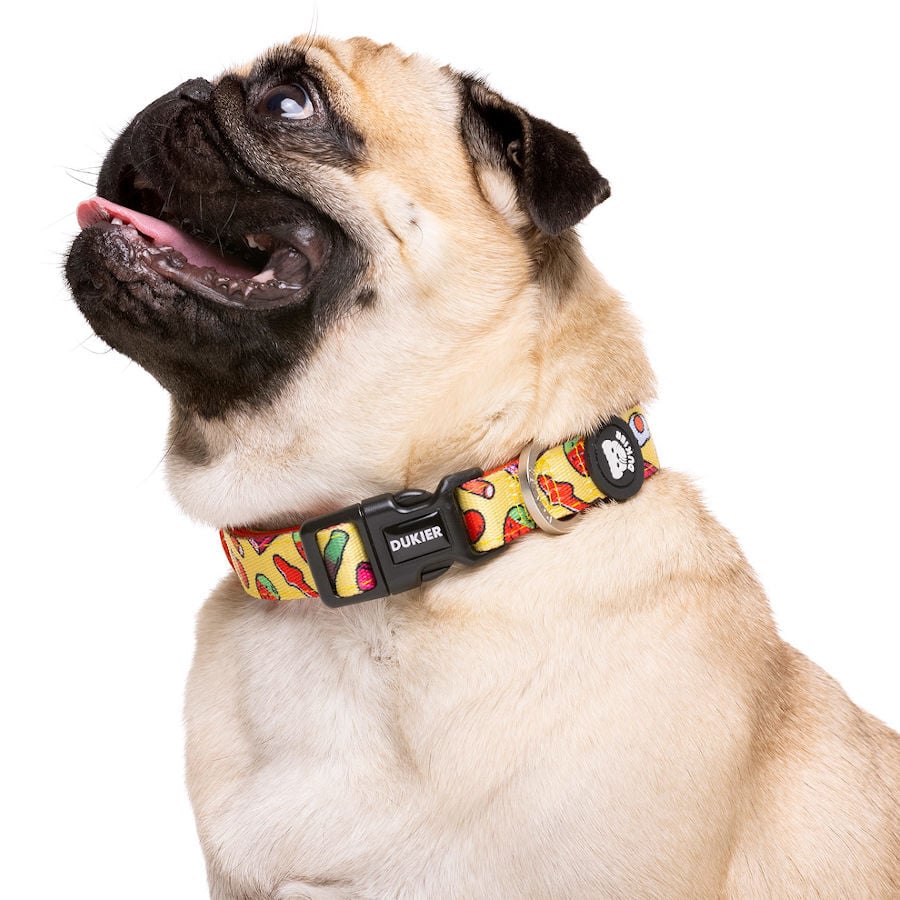 Dukier Sweets collar para perros, , large Imagen numero 2