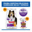 14 kg Hill's Science Plan Sensitive Stomach y skin Adult Pollo pienso para perros, , large indicador imagen numero 9