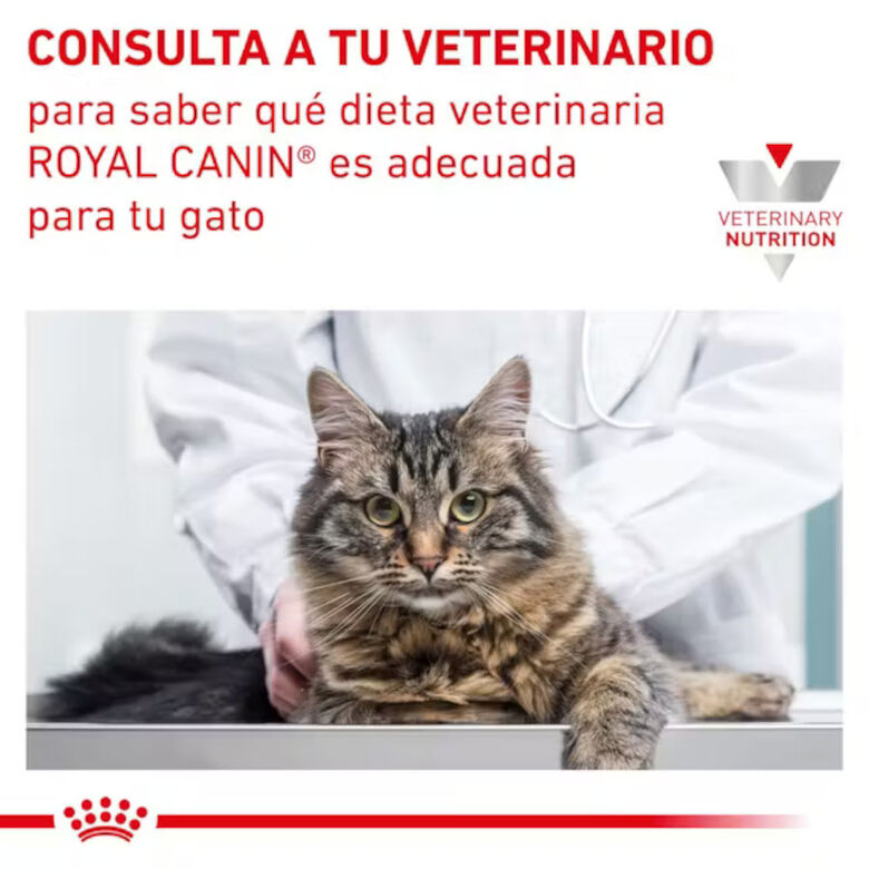 Royal Canin Mature Consult Láminas en Salsa Sobre para gatos thumbnail