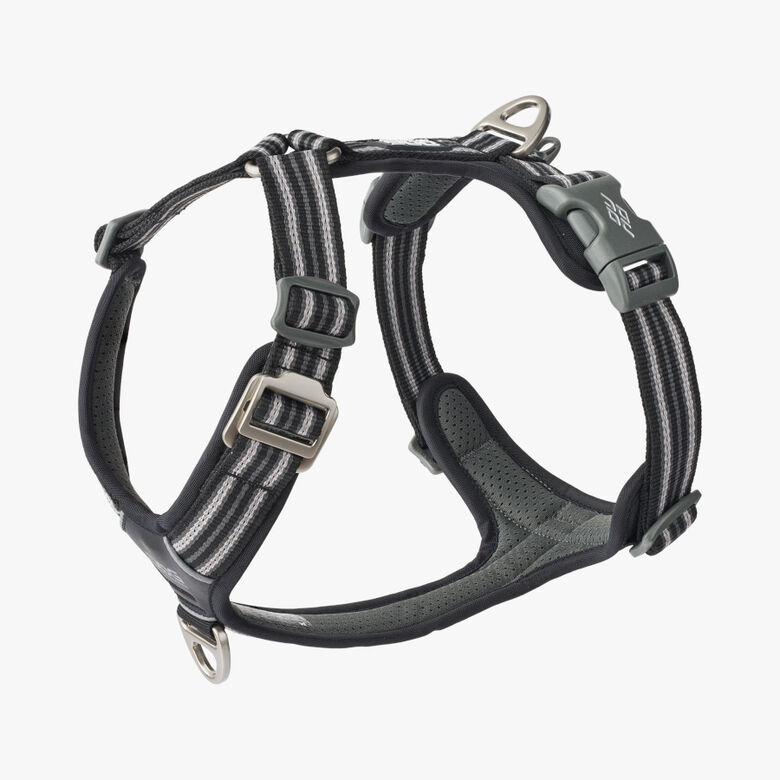 Dog Copenhagen Comfort Walk Air Arnés Negro para perros thumbnail