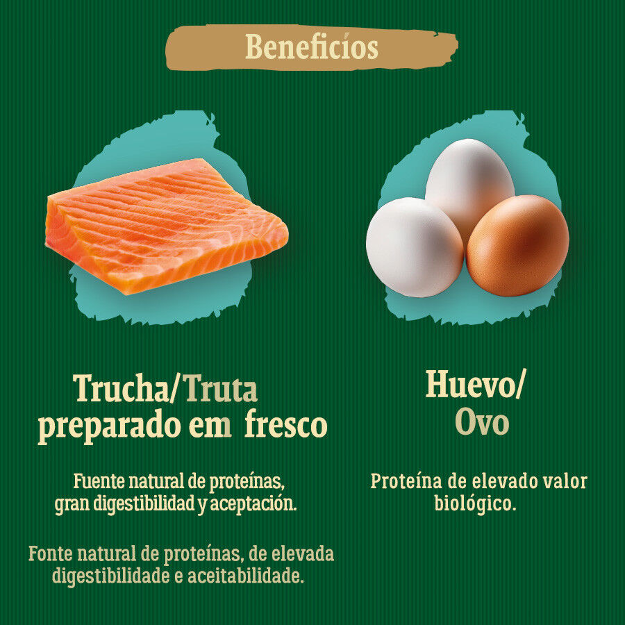 True Origins Wild Ocean River Salmón y Trucha pienso para gatos thumbnail