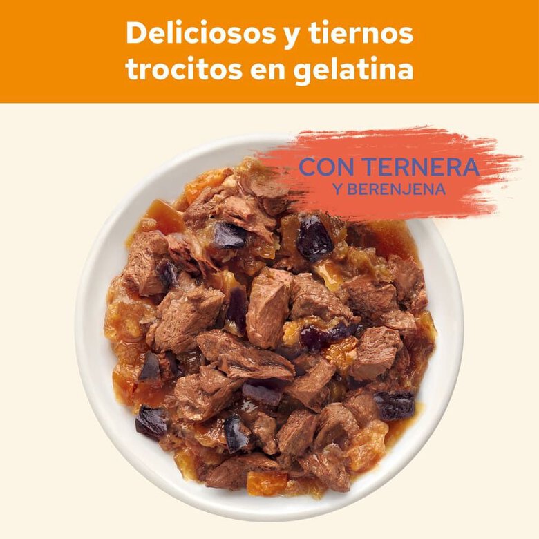 85 g Cat Chow Buey en Gelatina sobres para gatos,  Imagen numero 3 85 g Cat Chow Buey en Gelatina sobres para gatos, , large Imagen numero 3