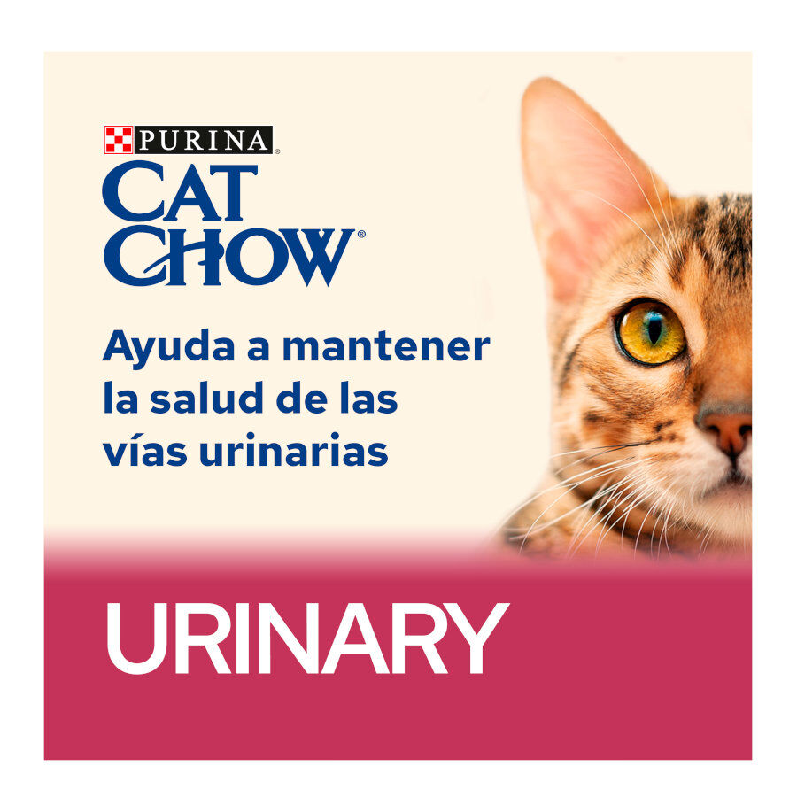 Cat Chow Urinary Tract Health Pollo Pienso thumbnail