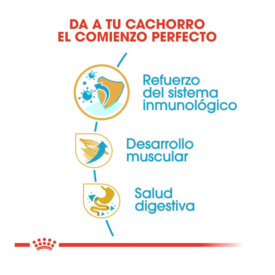 Royal Canin Puppy Boxer pienso para cachorros thumbnail