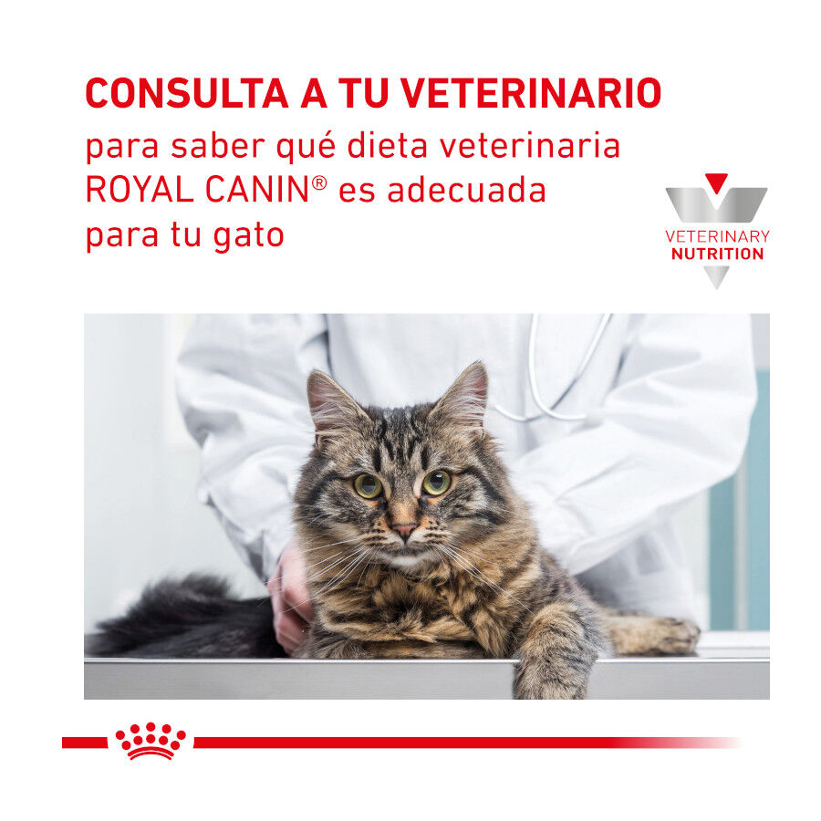 2 kg Royal Canin Veterinary Gastrointestinal Hairball pienso para gatos, , large Imagen numero 9