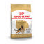 11 kg Royal Canin Adult Pastor Alemán pienso para perros, , large indicador imagen numero 1