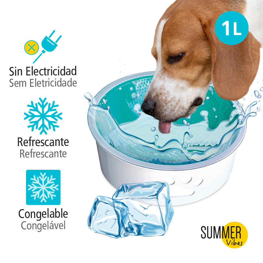 Summer Vibes Bebedero Refrescante para perros, , large Imagen numero 3
