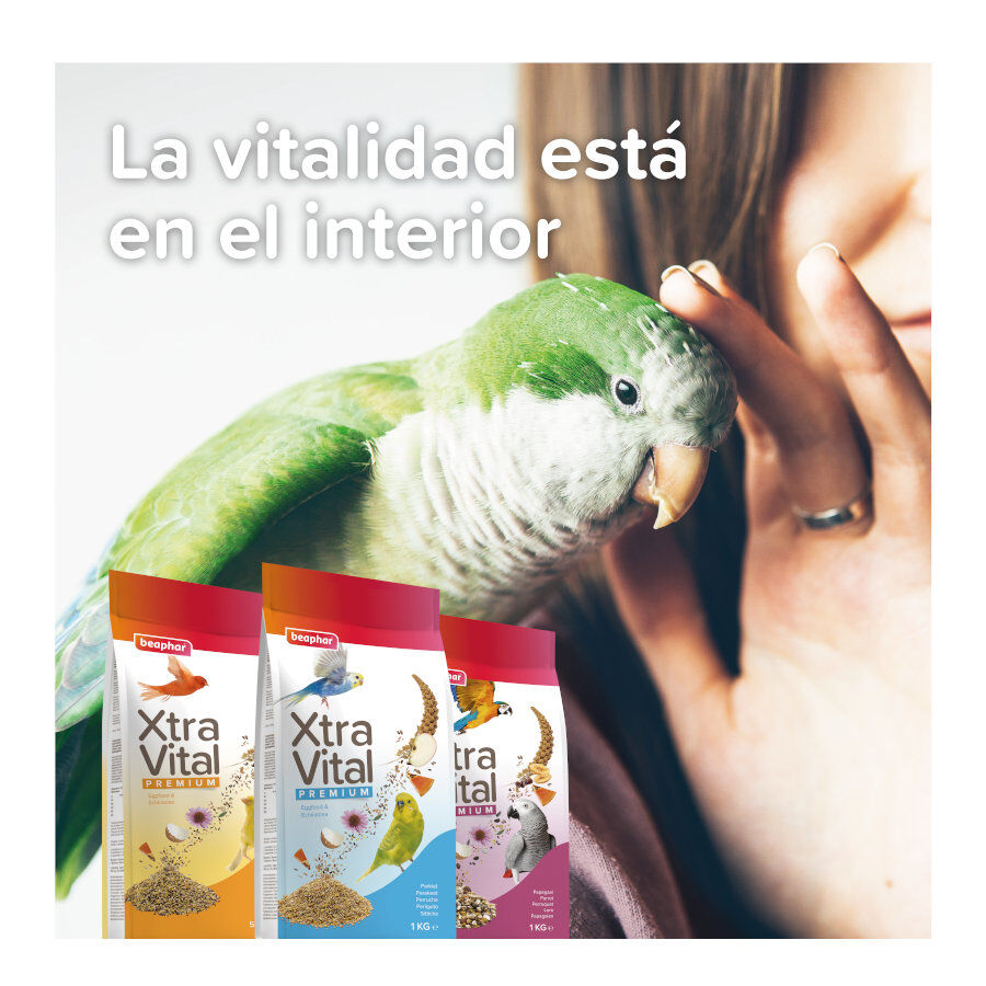 Beaphar XtraVital Mixtura para periquitos grandes thumbnail