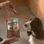 70 g Adventuros Palitos Mini Jabalí para perros, , large indicador imagen numero 6