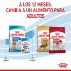 Royal Canin Puppy Medium pienso para perros, , large image number null