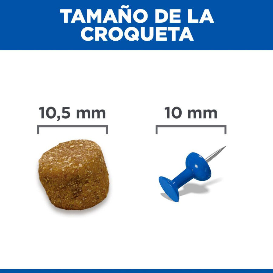 Hill&#039;s Science Plan Light pienso pollo perros de razas medianas thumbnail