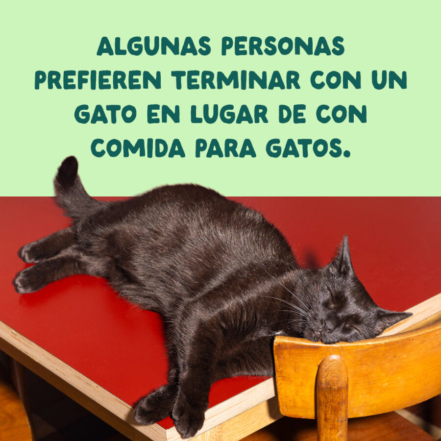 70 g Edgard & Cooper Filetes de Salm&oacute;n y Ceballa Lata para gatos, , large Imagen numero 9