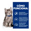 1.5 kg Hill's Prescription Diet i/d Digestive Care Kitten Digestivo Pienso Pollo para gatos, , large indicador imagen numero 5