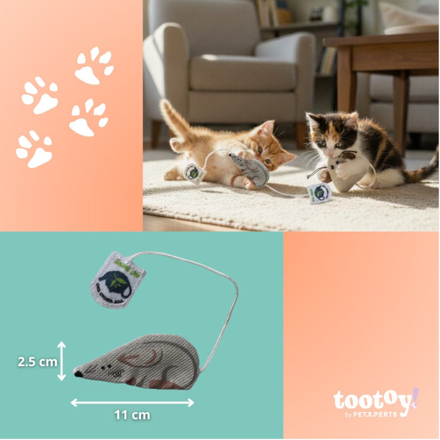 Tootoy! Ratón de Tela con Catnip para gatitos thumbnail