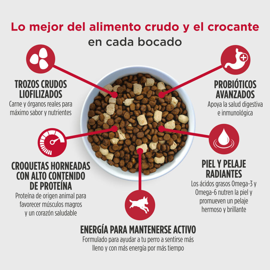 9 kg Nuko Raw Medley Pollo Avena y Pavo Pienso para perros, , large Imagen numero 3