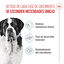 15 kg Royal Canin Junior Giant pienso para perros, , large indicador imagen numero 3