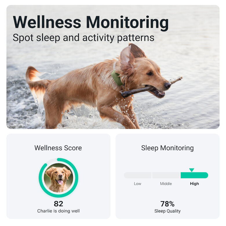 Tractive GPS Localizador XL para perros thumbnail