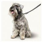 Beaphar Gentle Leader Collar de adiestramiento Negro para perros, , large image number null