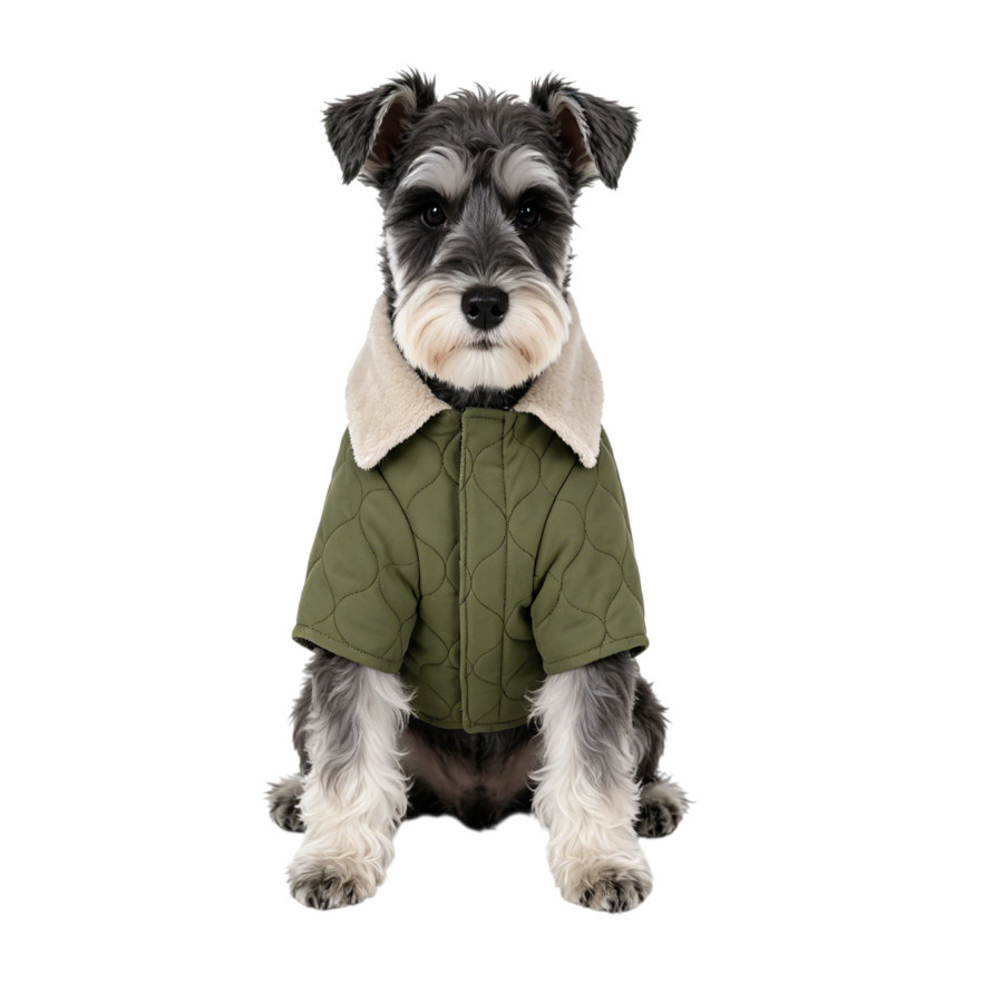 Gotoo Abrigo Acolchado Verde para perros, , large Imagen numero 7