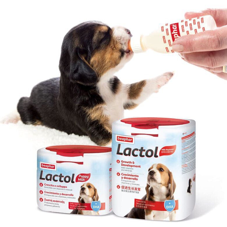 Beaphar Lactol Leche en Polvo para cachorros thumbnail