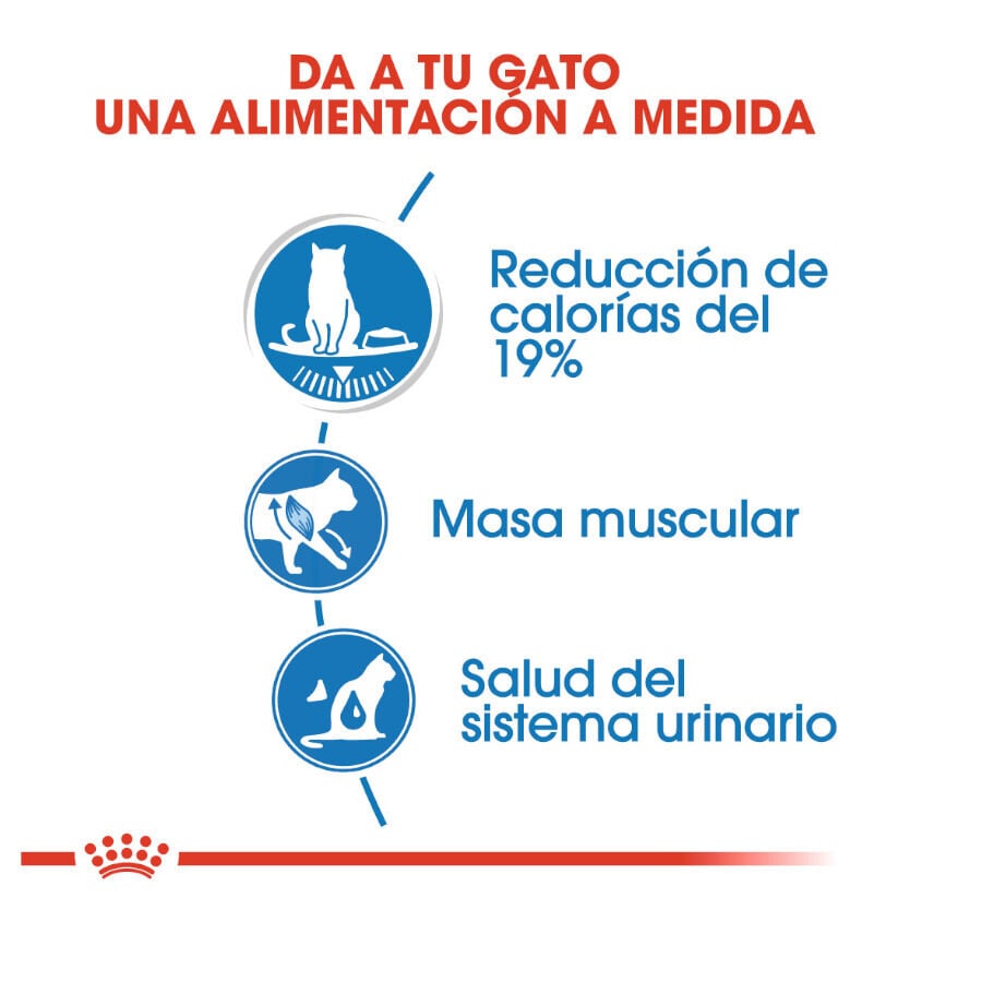 Royal Canin Ultra Light sobres para gatos thumbnail