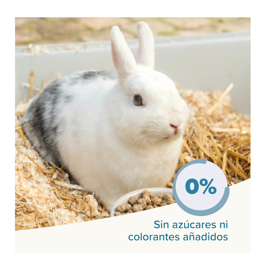 Beaphar Care + Junior Pienso para conejo junior, , large Imagen numero 5
