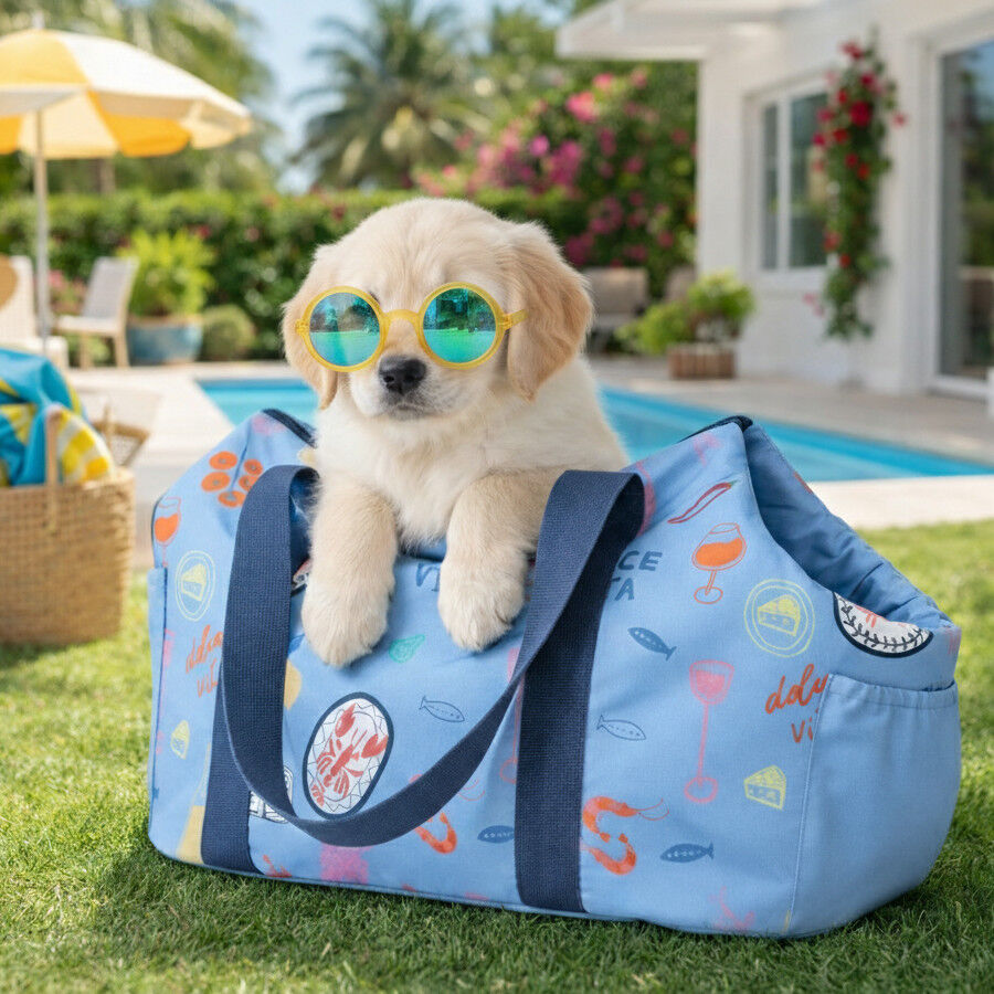 Summer Vibes Mochila Dolce Vita Azul para cachorros, , large Imagen numero 1