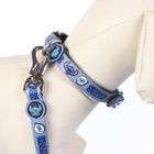 Disney Premium Stitch collar para perros, , large image number null