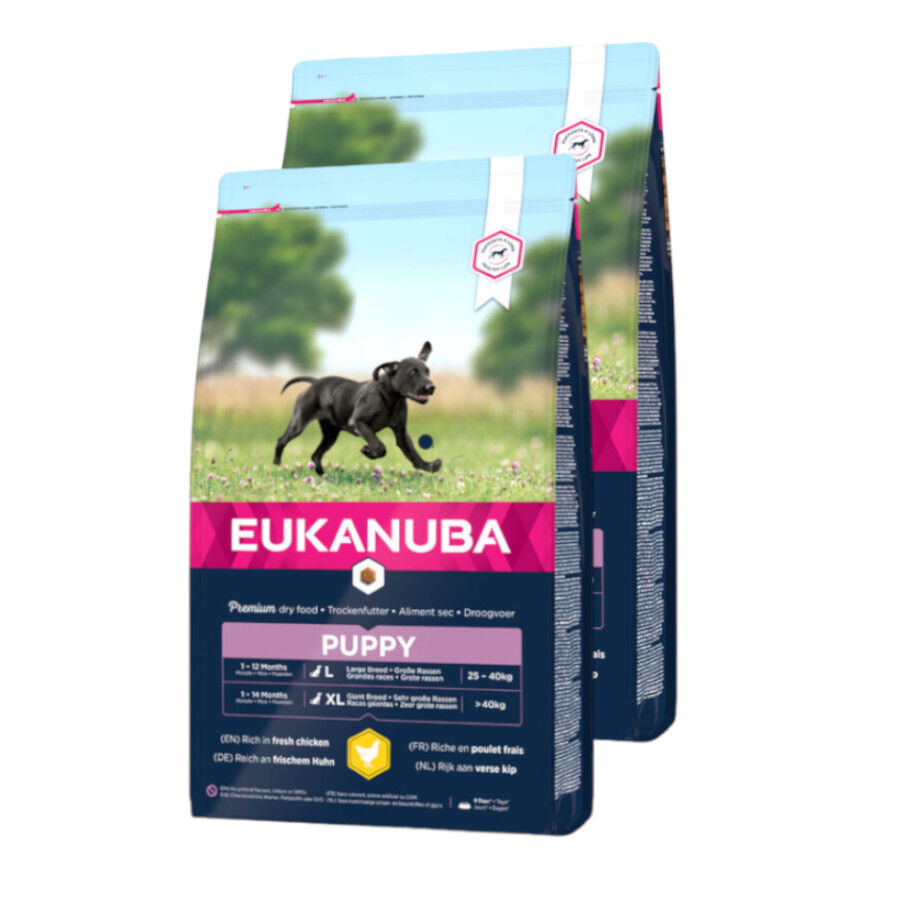 Eukanuba Puppy Large Pollo pienso para perros