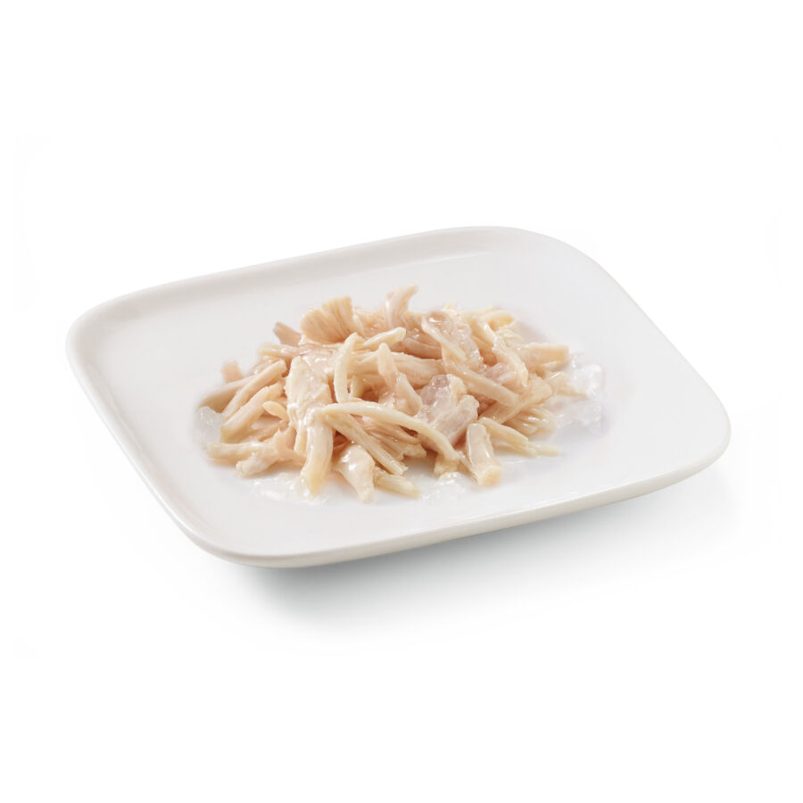 Schesir Adult pollo en gelatina lata para perros thumbnail