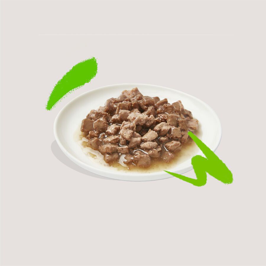 Edgard &amp; Cooper Adult Trocitos de Cordero y Pollo en Salsa lata para gatos thumbnail