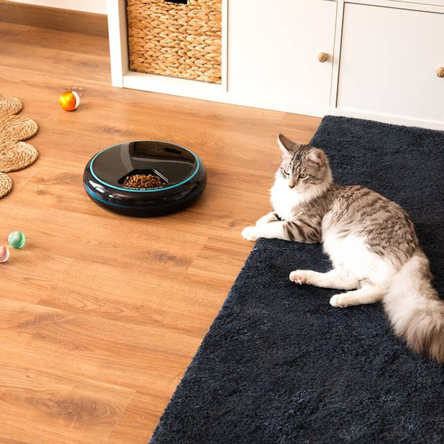 Cecotec Pumba 1600 Purrfect Meal Comedero Dispensador para perros y gatos thumbnail