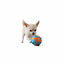 All for paws Meta Ball  X Pelota de rebote Juguete para perros, , large indicador imagen numero 3