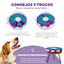 Outward Hound Twister Juguete de Inteligencia para perros, , large indicador imagen numero 4