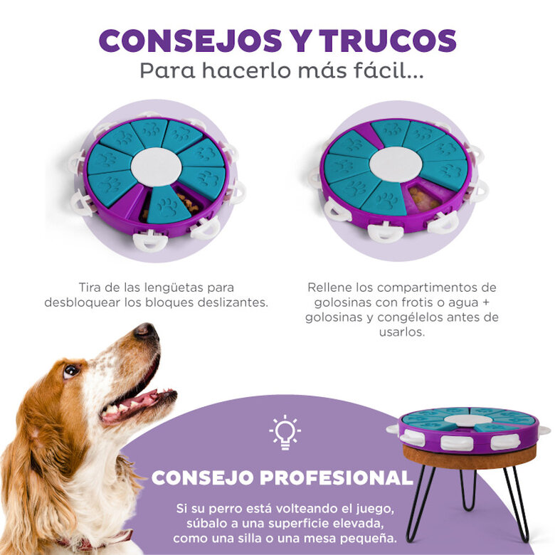 Outward Hound Twister Juguete de Inteligencia para perros,  Imagen numero 4 Outward Hound Twister Juguete de Inteligencia para perros, , large Imagen numero 4
