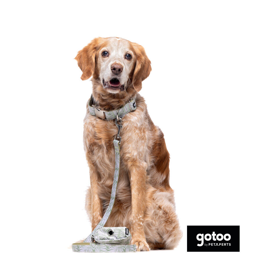 Gotoo Porta bolsas estampado hojas para perros, , large Imagen numero 3