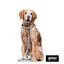 Gotoo Porta bolsas estampado hojas para perros, , large indicador imagen numero 3