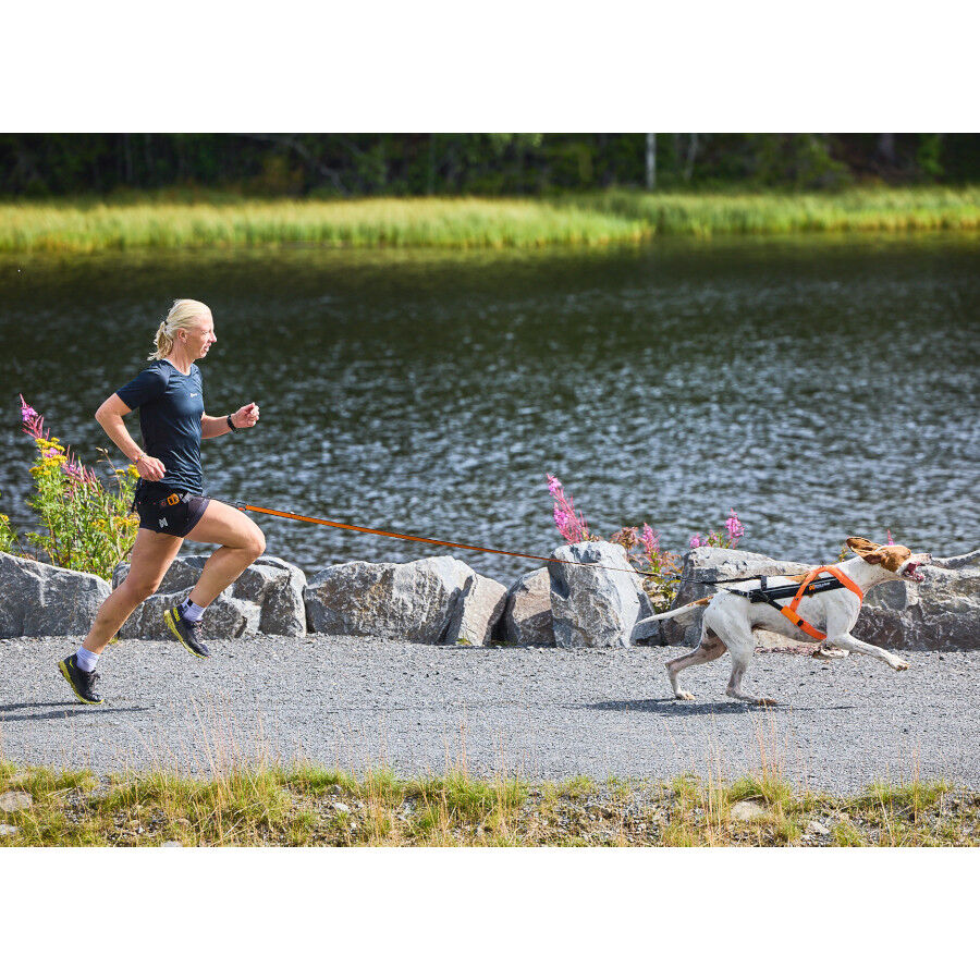 Non-stop dogwear Freemotion Arnés Negro y Naranja para perros thumbnail