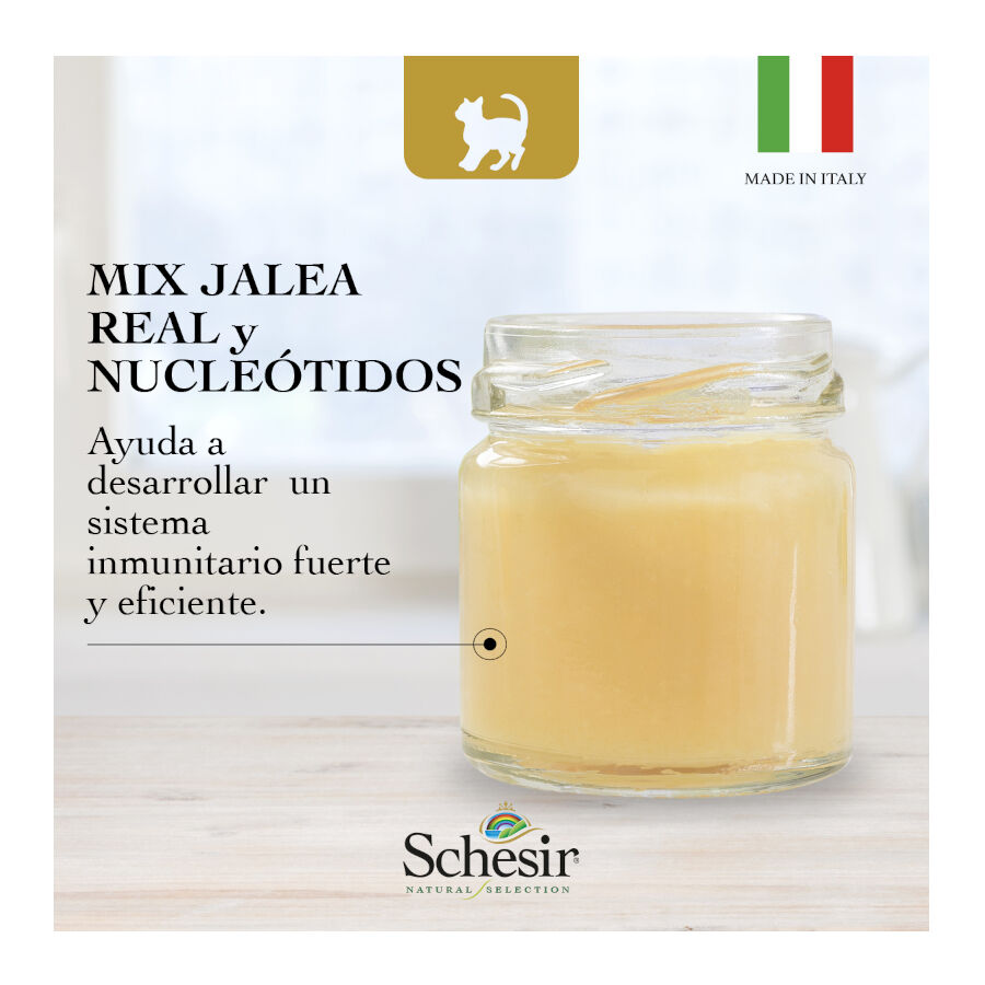 1.4 kg Schesir Kitten Natural Selection Pavo pienso , , large Imagen numero 7
