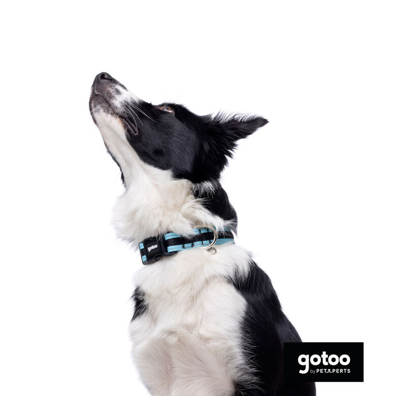 Gotoo collar de malla transpirable turquesa para perros thumbnail