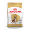 12 kg Royal Canin Adult Boxer pienso para perros, , large indicador imagen numero 1