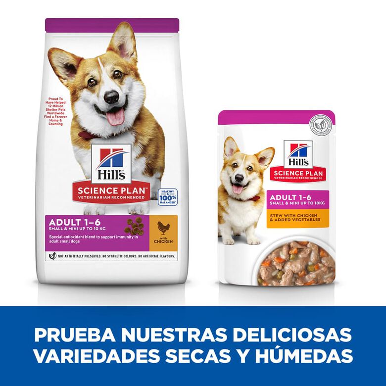 Hill&#039;s Science Plan Adult Small y Mini Pollo pienso para perros thumbnail